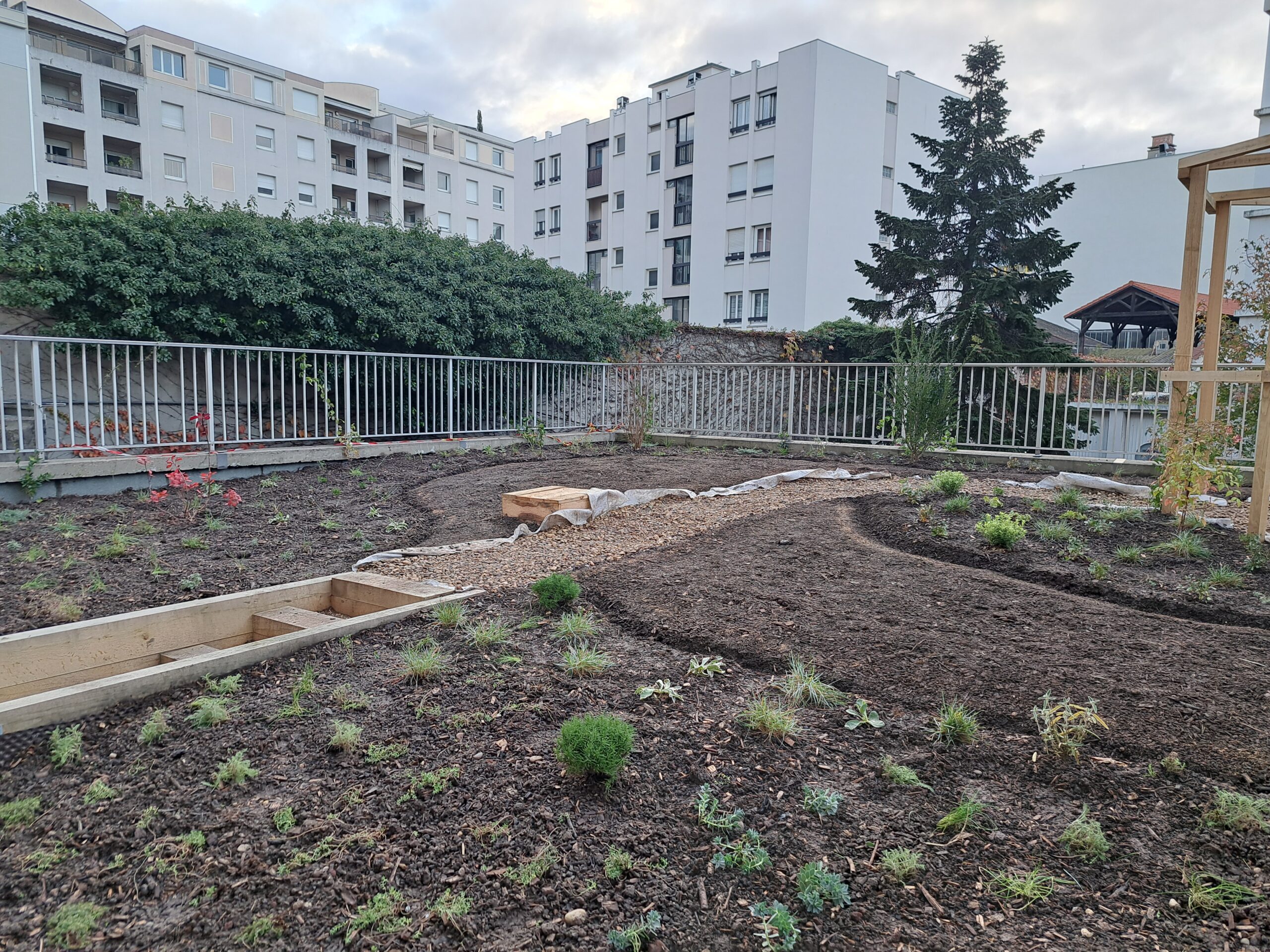 Projet de plantations : se prendre à temps