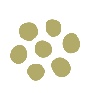 Animation participative