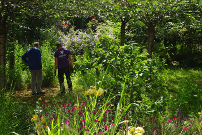 Pistyles recrute : Jardinier-e paysagiste référent tournée d’entretien