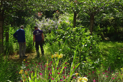 Pistyles recrute : Jardinier-e paysagiste référent tournée d’entretien