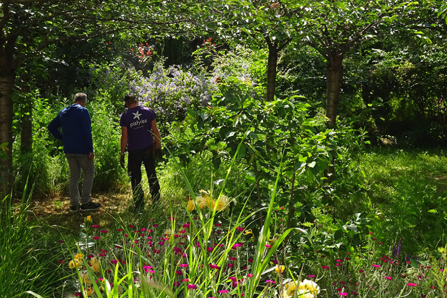 Pistyles recrute : Jardinier-e paysagiste référent tournée d’entretien