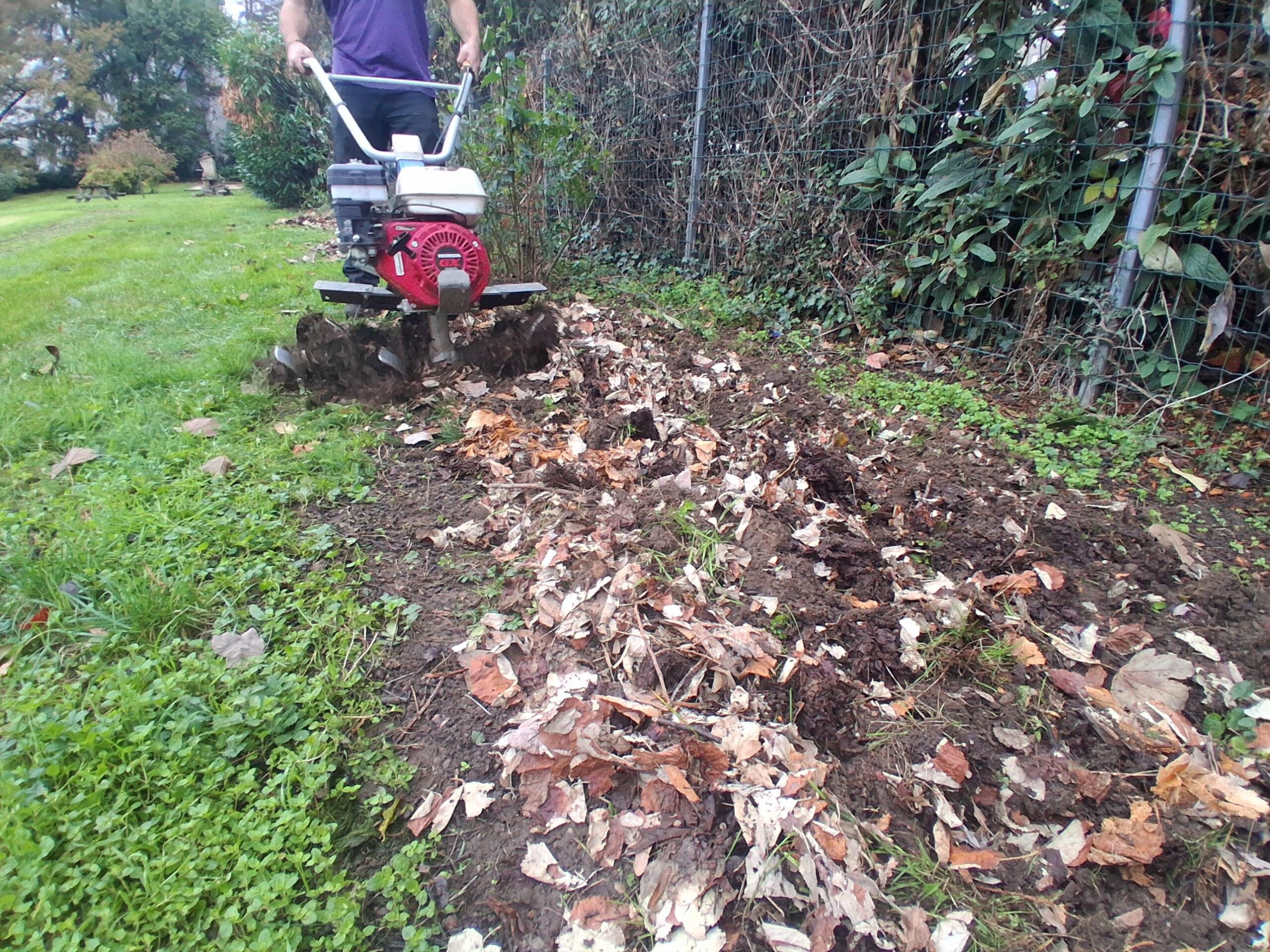 Et si la clé d’une belle plantation était sous vos pieds ?